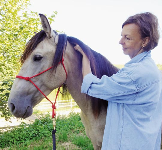 Körperbehandlungen