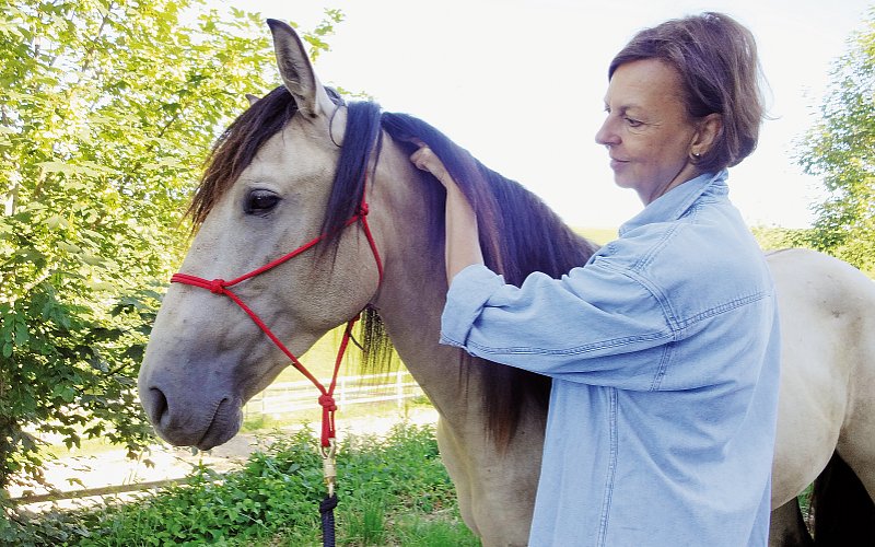 Körperbehandlung / EMMETT Technique / Akupressur / tierisch berührt / Beatrix Schürch