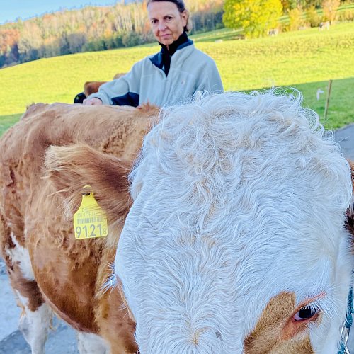 Körperbehandlung / EMMETT Technique / Akupressur / tierisch berührt / Beatrix Schürch
