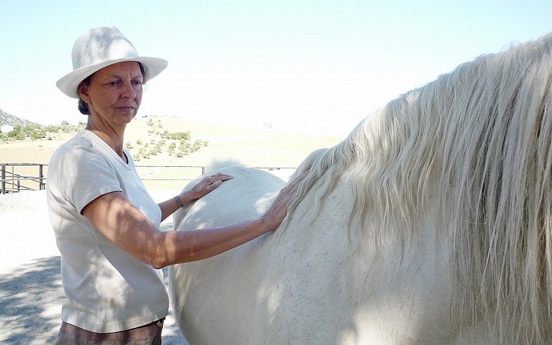 Körperbehandlung / EMMETT Technique / Akupressur / tierisch berührt / Beatrix Schürch